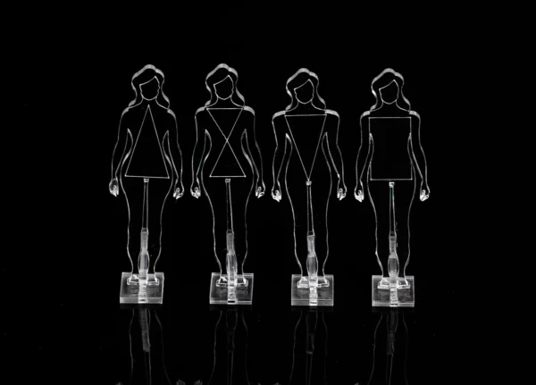 Proporção Visual®️ Feminina PETIT - Imagem 3